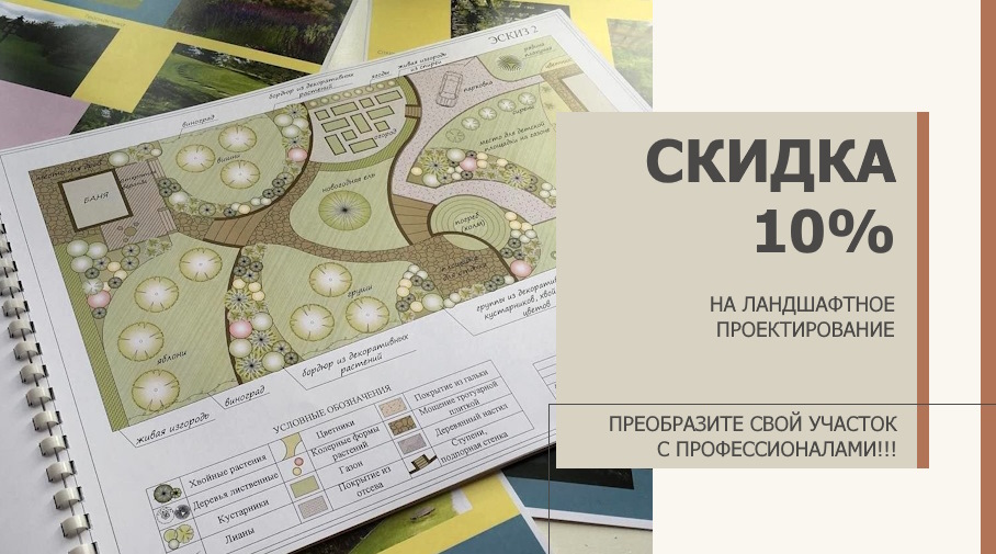 Акция! Скидка на ландшафтный проект